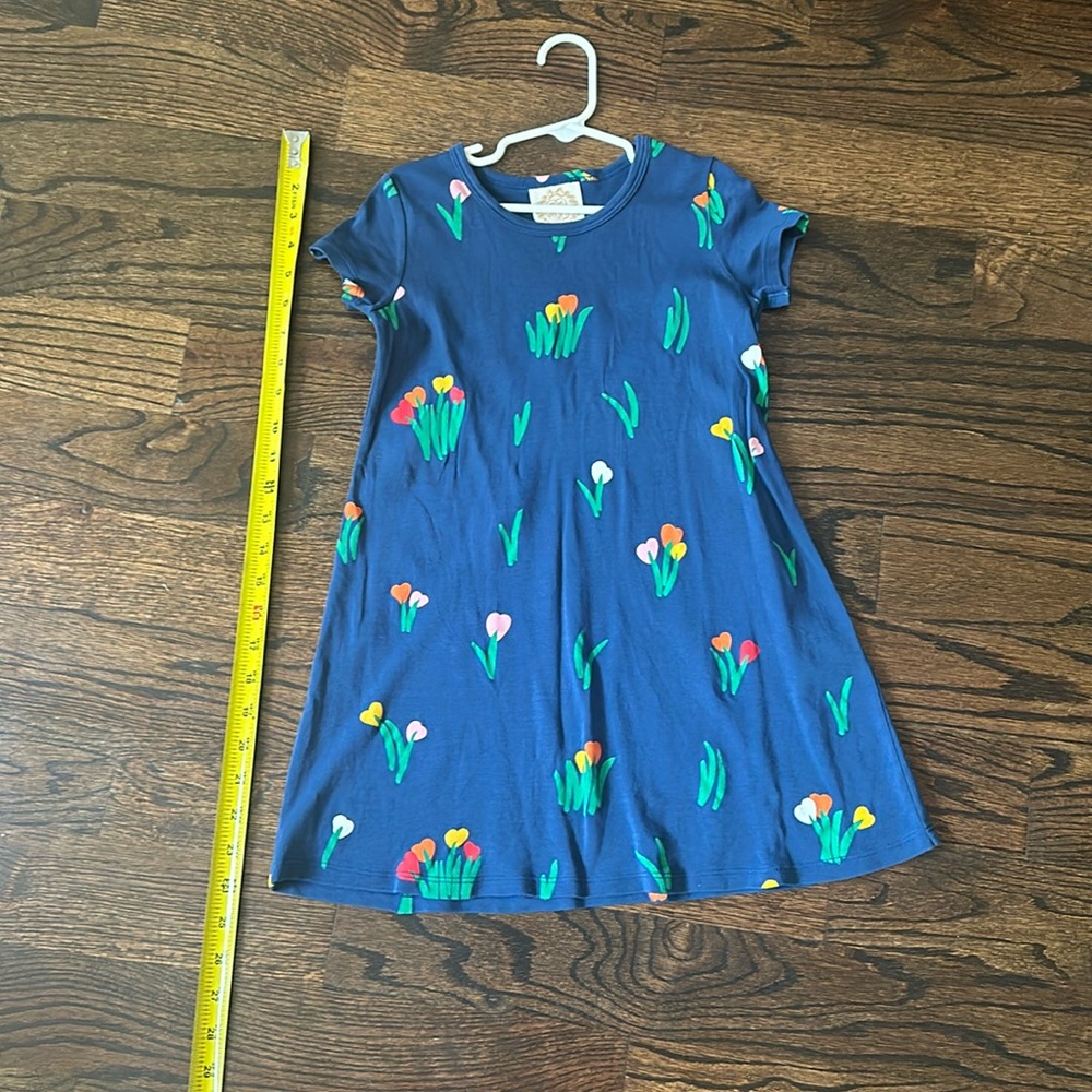 Tbbc Beaufort bonnet Polly dress 7